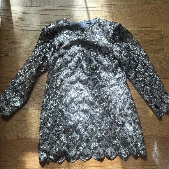 Zara | Dresses | Zara Silver Sequin Dress | Poshmark